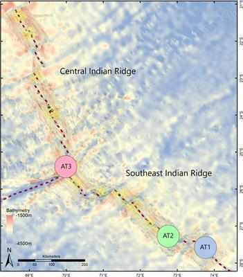 DNA Barcoding of Scavenging Amphipod Communities at Active and Inactive Hydrothermal Vents in the Indian Ocean